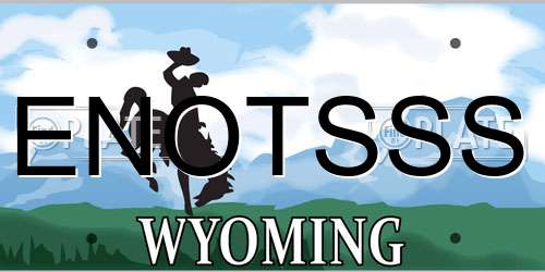ENOTSSS Wyoming License Plate