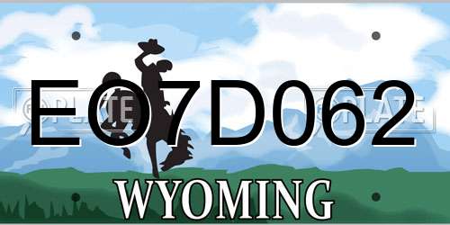 EO7D062 Wyoming License Plate