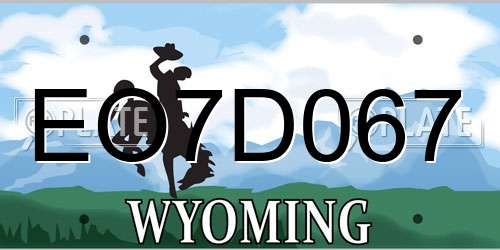 EO7D067 Wyoming License Plate