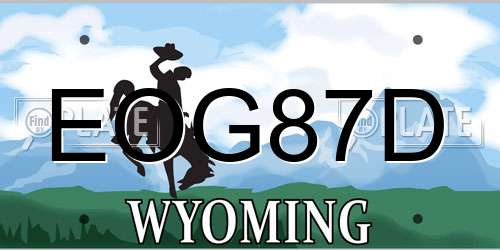 EOG87D Wyoming License Plate