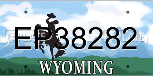 EP38282 Wyoming License Plate