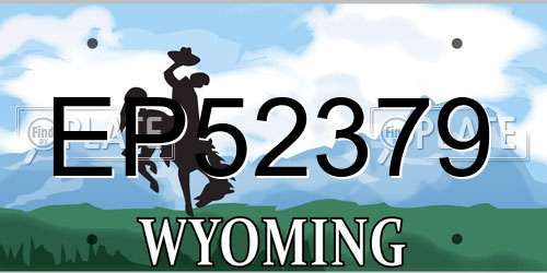 EP52379 Wyoming License Plate