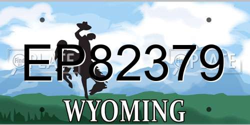 EP82379 Wyoming License Plate