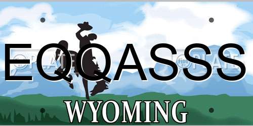 EQQASSS Wyoming License Plate