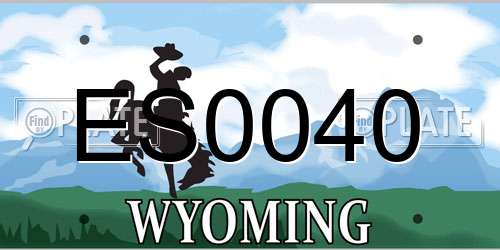 ES0040 Wyoming License Plate