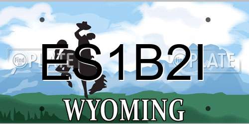 ES1B2I Wyoming License Plate
