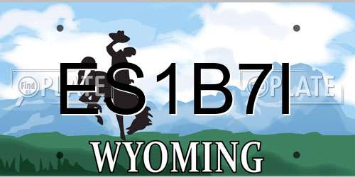 ES1B7I Wyoming License Plate