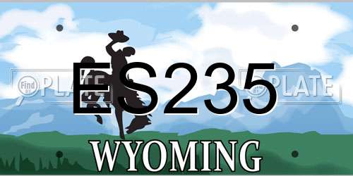 ES235 Wyoming License Plate