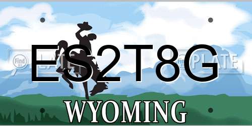 ES2T8G Wyoming License Plate