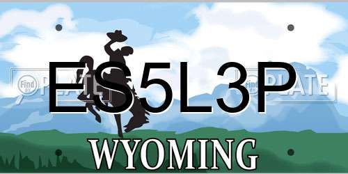 ES5L3P Wyoming License Plate