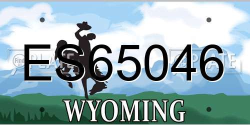 ES65046 Wyoming License Plate