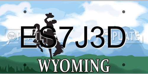 ES7J3D Wyoming License Plate