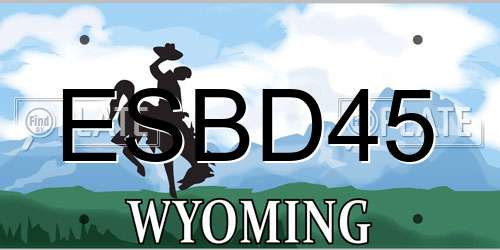 ESBD45 Wyoming License Plate