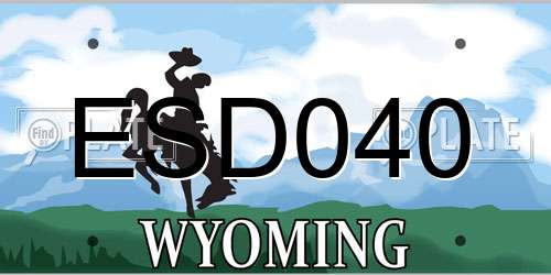 ESD040 Wyoming License Plate