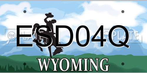 ESD04Q Wyoming License Plate