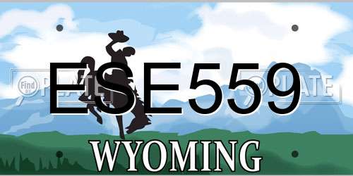 ESE559 Wyoming License Plate