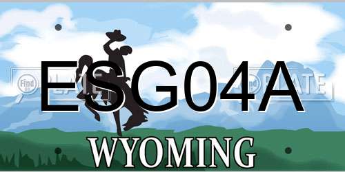 ESG04A Wyoming License Plate