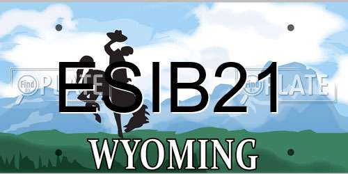 ESIB21 Wyoming License Plate