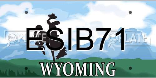 ESIB71 Wyoming License Plate