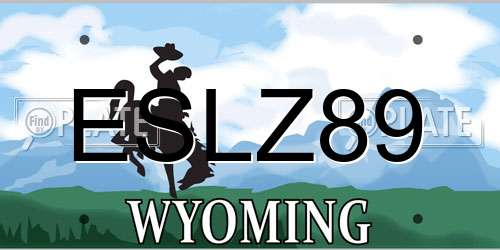 ESLZ89 Wyoming License Plate
