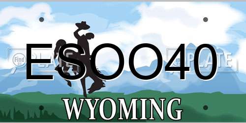 ESOO40 Wyoming License Plate