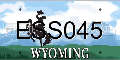 ESS045 Wyoming License Plate