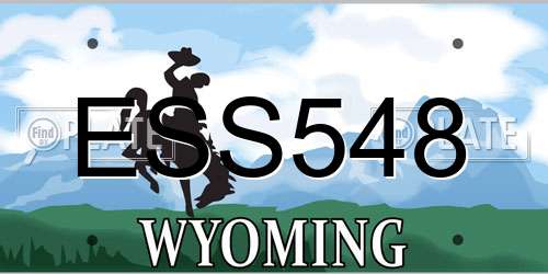 ESS548 Wyoming License Plate