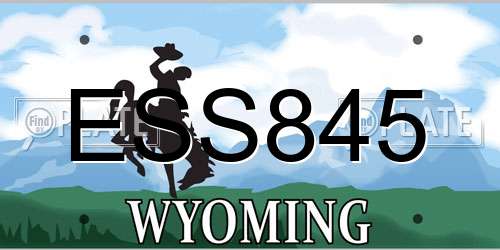 ESS845 Wyoming License Plate