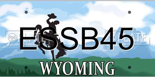 ESSB45 Wyoming License Plate