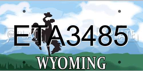 ETA3485 Wyoming License Plate