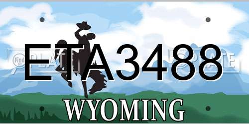 ETA3488 Wyoming License Plate