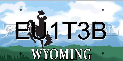 EU1T3B Wyoming License Plate