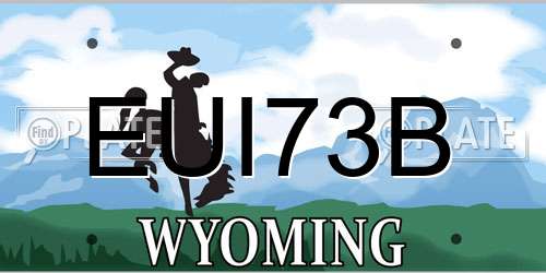 EUI73B Wyoming License Plate