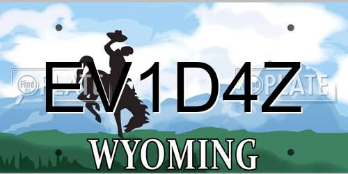EV1D4Z Wyoming License Plate