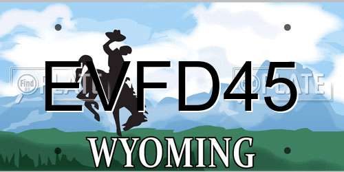 EVFD45 Wyoming License Plate