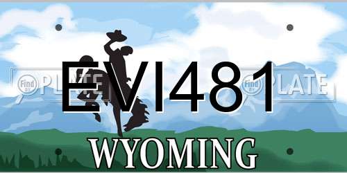 EVI481 Wyoming License Plate
