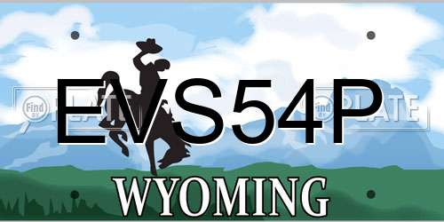 EVS54P Wyoming License Plate