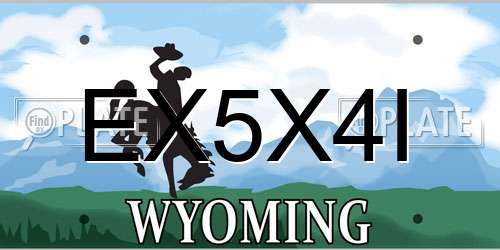 EX5X4I Wyoming License Plate