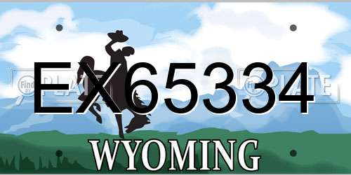EX65334 Wyoming License Plate