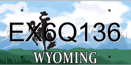 EX6Q136 Wyoming License Plate