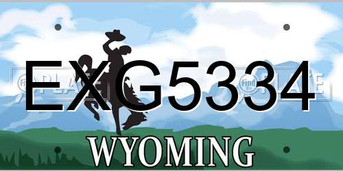 EXG5334 Wyoming License Plate