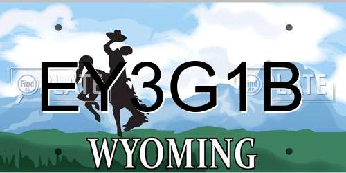 EY3G1B Wyoming License Plate