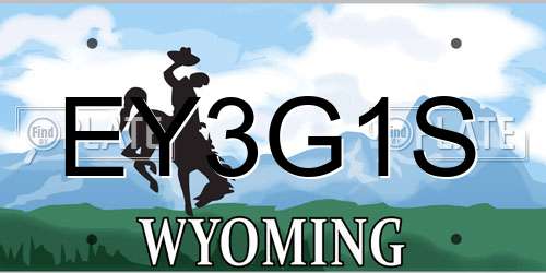 EY3G1S Wyoming License Plate
