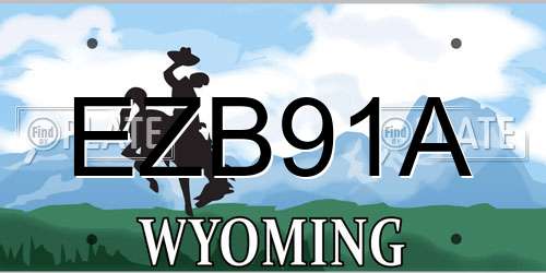 EZB91A Wyoming License Plate