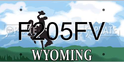 F205FV Wyoming License Plate