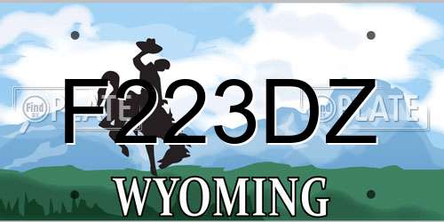 F223DZ Wyoming License Plate
