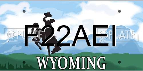 F22AEI Wyoming License Plate