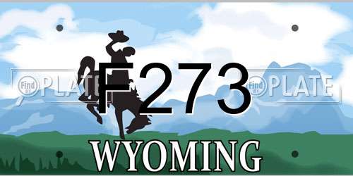 F273 Wyoming License Plate