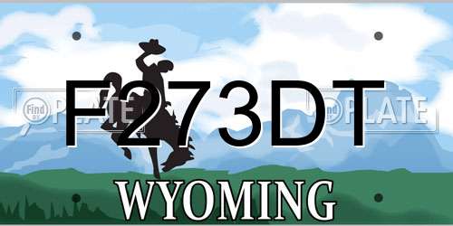 F273DT Wyoming License Plate