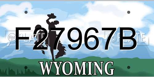 F27967B Wyoming License Plate